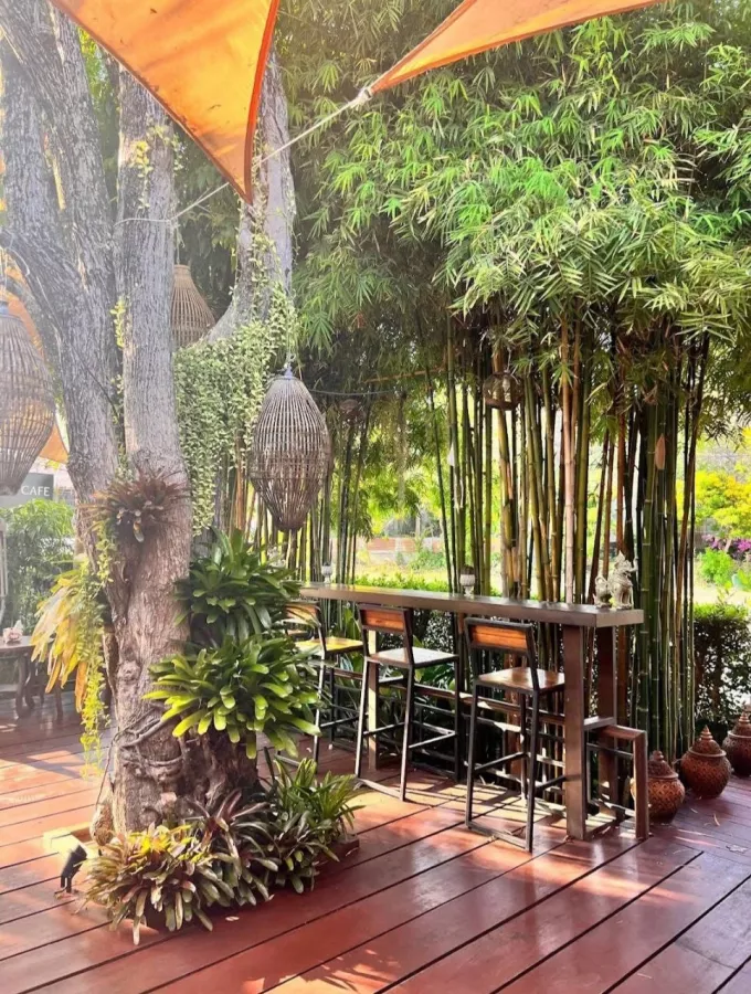 Кафе TARA в Пхукете: Сад, Ресторан, Бар, Кафе, Тайская Кухня, Restaurant, Bar, Cafe, Thai Cuisine, Garden,