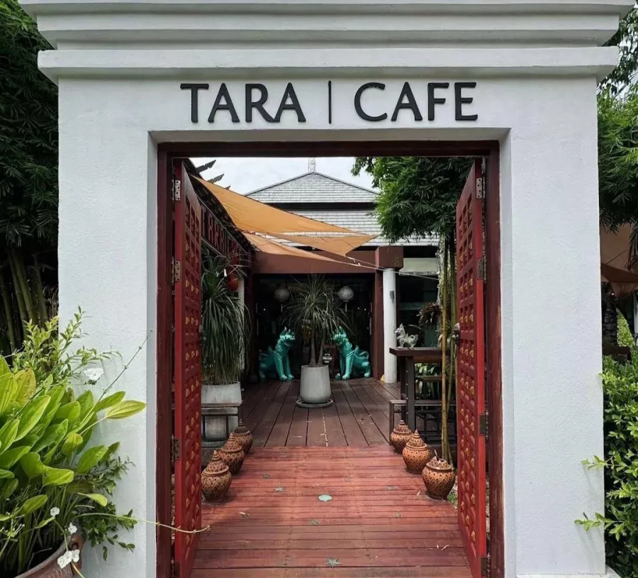 Кафе TARA в Пхукете: Сад, Ресторан, Бар, Кафе, Тайская Кухня, Restaurant, Bar, Cafe, Thai Cuisine, Garden,