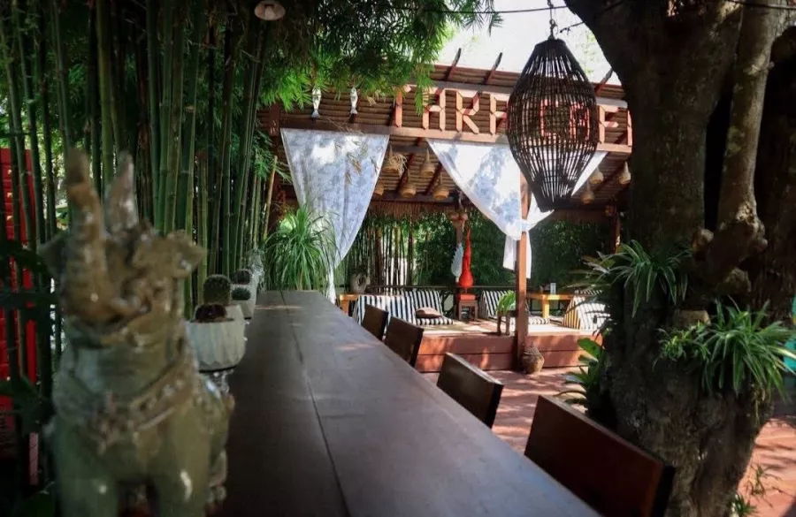 Кафе TARA в Пхукете: Сад, Ресторан, Бар, Кафе, Тайская Кухня, Restaurant, Bar, Cafe, Thai Cuisine, Garden,