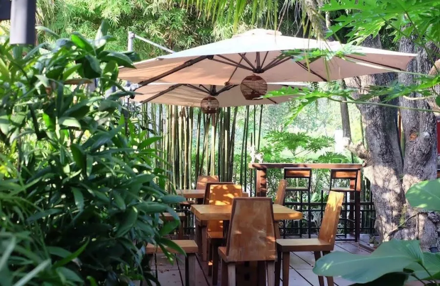 Кафе TARA в Пхукете: Сад, Ресторан, Бар, Кафе, Тайская Кухня, Restaurant, Bar, Cafe, Thai Cuisine, Garden,
