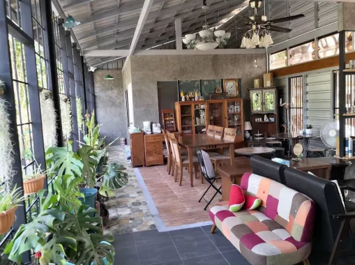 Кофейня «Liang’s : Home Of Specialty Coffee»