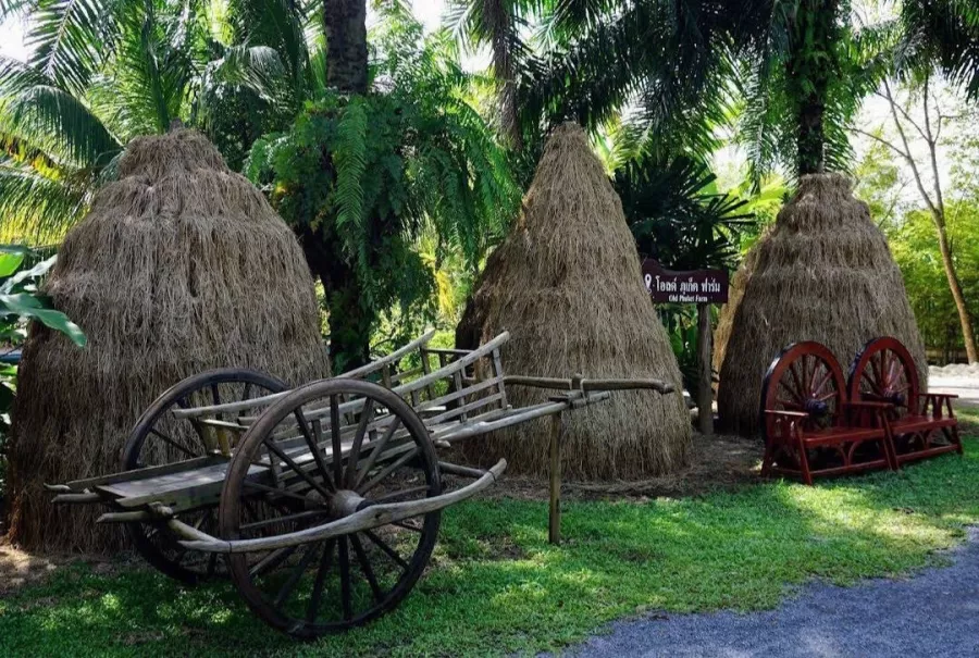 Ферма Old Phuket в Пхукете: Ферма, Отель, Farm, Hotel, Excursion, Экскурсия,