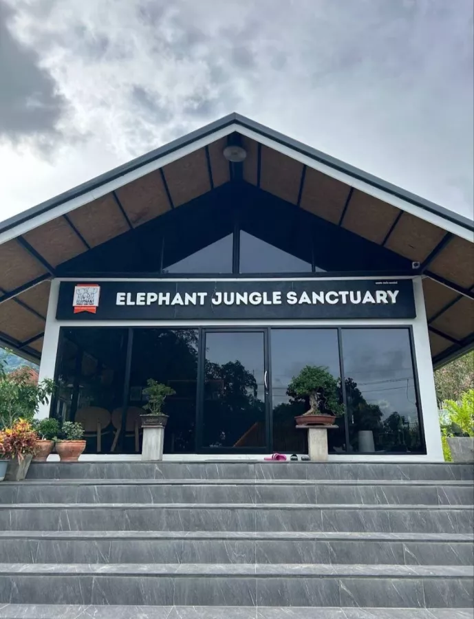 Заповедник Elephant Jungle в Пхукете: Заповедник, Слоны, Elephants, Sanctuary, Cafe, Кафе,