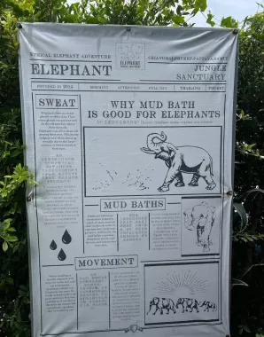 Заповедник «Elephant Jungle»