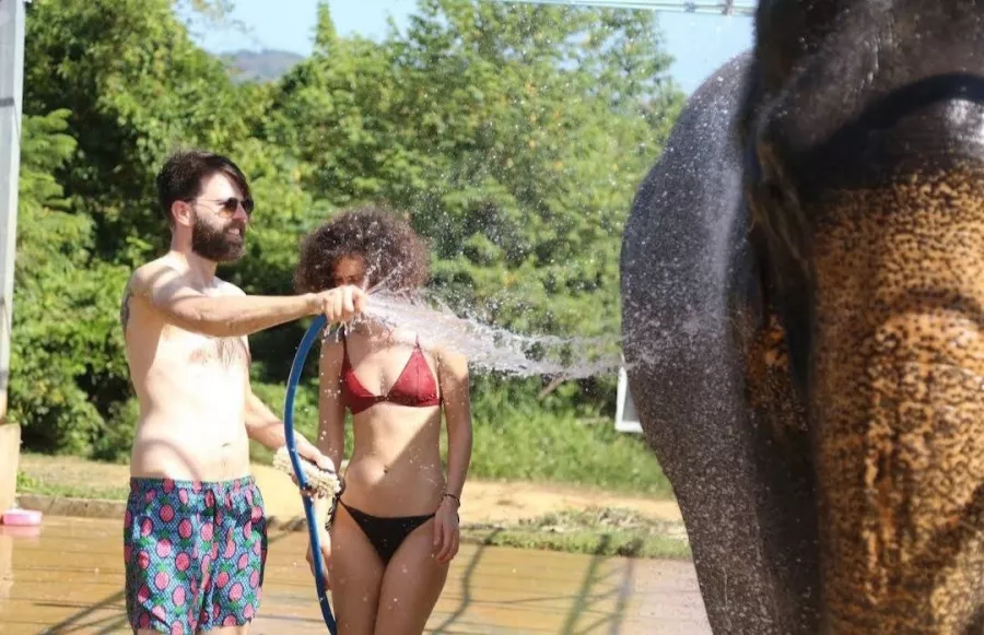Заповедник Elephant Jungle в Пхукете: Заповедник, Слоны, Elephants, Sanctuary, Cafe, Кафе,