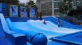 Миниатюра 9