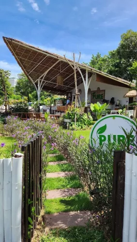 Ресторан Pure Vegan Heaven в Пхукете