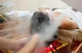 Миниатюра 11