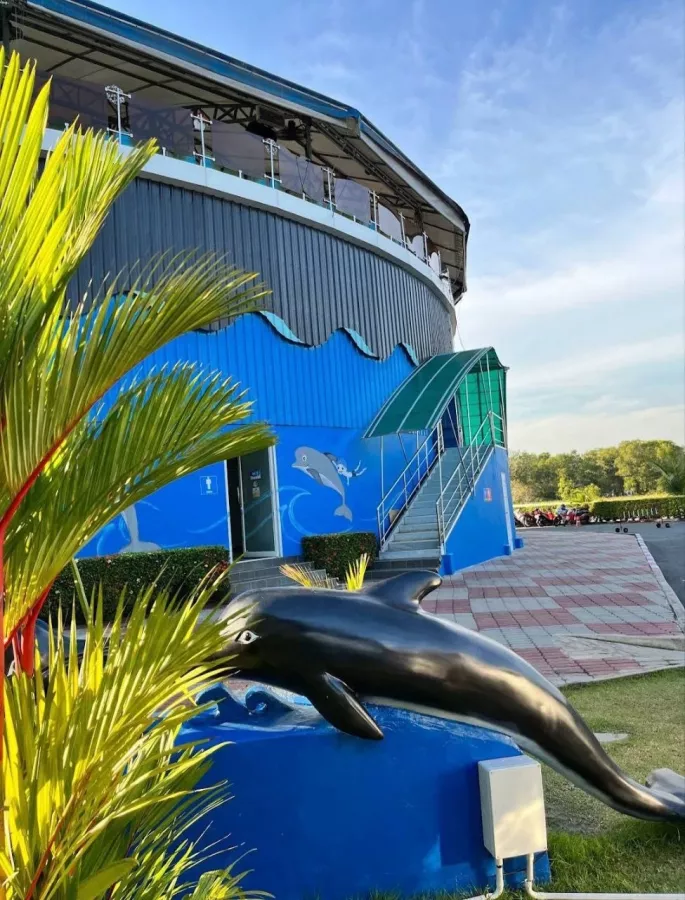 Дельфинарий Dolphinarium Pattaya в Паттайе: Шоу, Дельфины, Зоопарк, Zoo, Show, Dolphins,