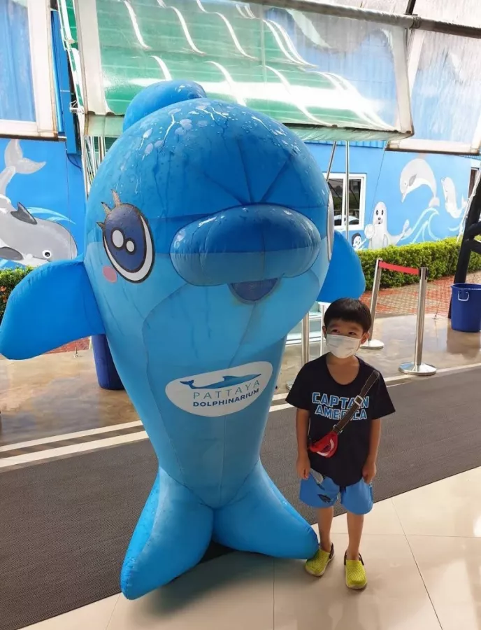 Дельфинарий Dolphinarium Pattaya в Паттайе: Шоу, Дельфины, Зоопарк, Zoo, Show, Dolphins,