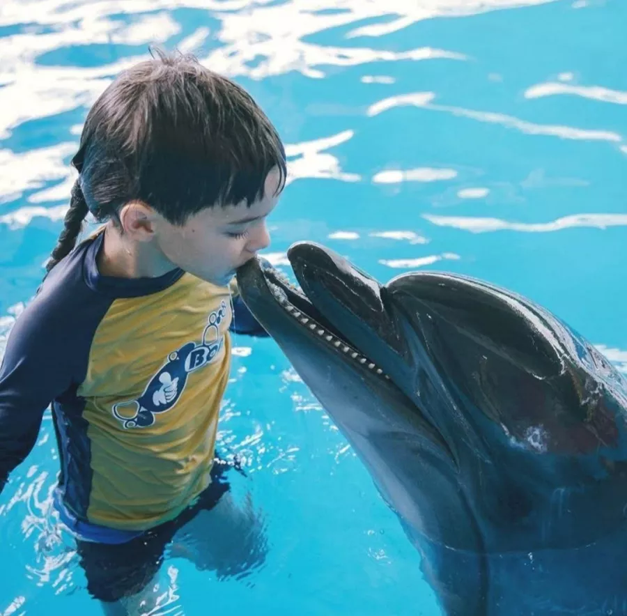 Дельфинарий Dolphinarium Pattaya в Паттайе: Шоу, Дельфины, Зоопарк, Zoo, Show, Dolphins,