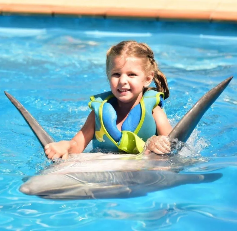 Дельфинарий Dolphinarium Pattaya в Паттайе: Шоу, Дельфины, Зоопарк, Zoo, Show, Dolphins,