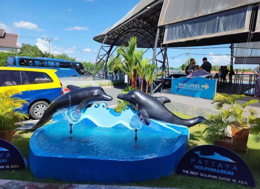 Дельфинарий Dolphinarium Pattaya в Паттайе: Шоу, Дельфины, Зоопарк, Zoo, Show, Dolphins,