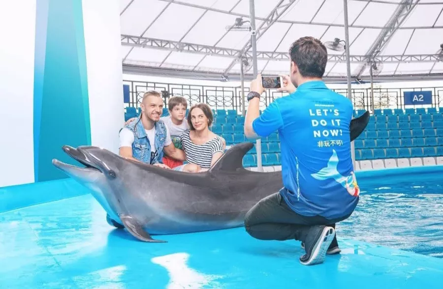 Дельфинарий Dolphinarium Pattaya в Паттайе: Шоу, Дельфины, Зоопарк, Zoo, Show, Dolphins,