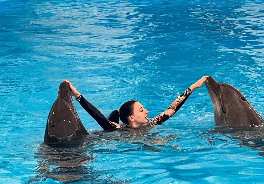 Дельфинарий Dolphinarium Pattaya в Паттайе: Шоу, Дельфины, Зоопарк, Zoo, Show, Dolphins,