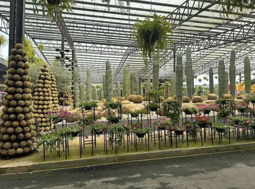 Ботанический Сад «Nong Nooch»