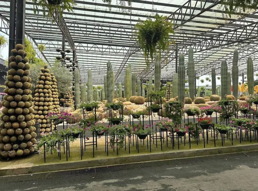 Ботанический Сад Nong Nooch в Паттайе: Garden, Plants, Dinosaurs, Elephants, Сад, Растения, Динозавры, Слоны, Шоу, Show,