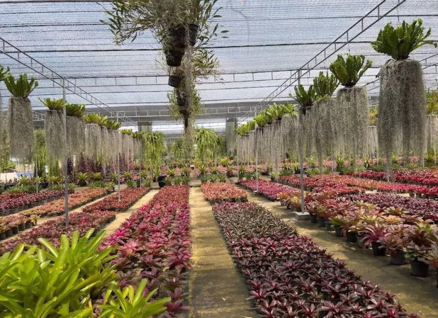 Ботанический Сад Nong Nooch в Паттайе: Garden, Plants, Dinosaurs, Elephants, Сад, Растения, Динозавры, Слоны, Шоу, Show,