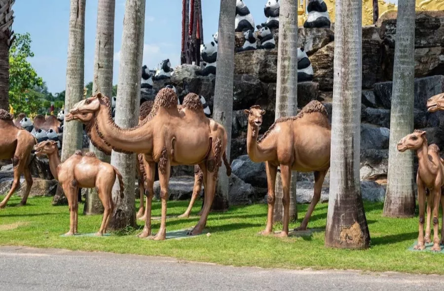 Ботанический Сад Nong Nooch в Паттайе: Garden, Plants, Dinosaurs, Elephants, Сад, Растения, Динозавры, Слоны, Шоу, Show,
