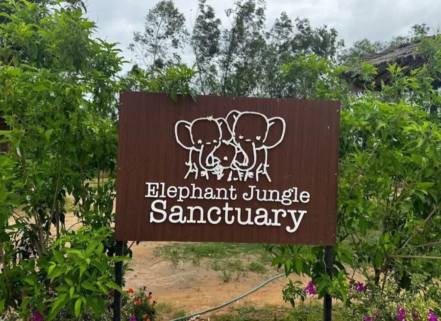 Заповедник Elephant Jungle Pattaya в Паттайе: Слоны, Джунгли, Заповедник, Elephants, Jungles , Sanctuary,