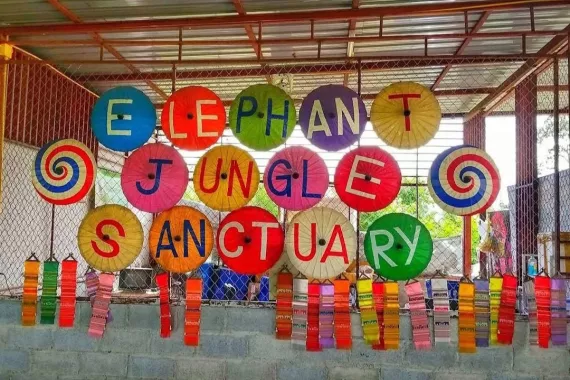 Заповедник «Elephant Jungle Pattaya»
