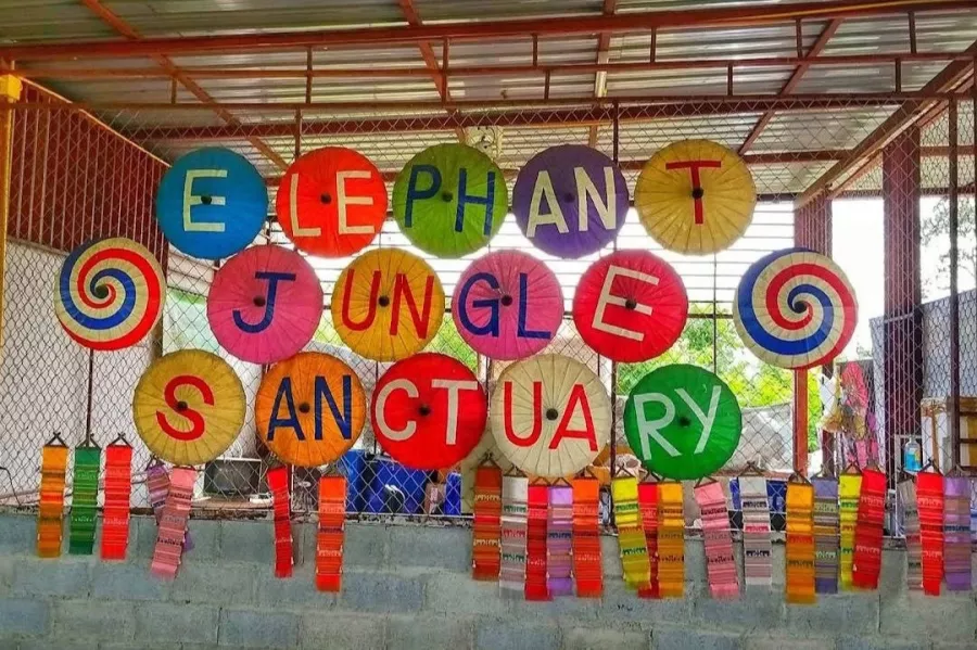 Заповедник Elephant Jungle Pattaya в Паттайе: Слоны, Джунгли, Заповедник, Elephants, Jungles , Sanctuary,