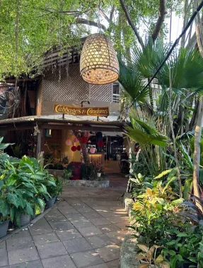 Отель «Birds & Bees Resort»