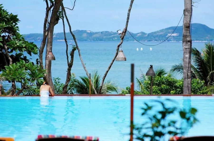 Отель Birds & Bees Resort в Паттайе: Отель, Ресторан, Бар, Бассейн, Hotel, Bar, Swimming Pool , Restaurant ,