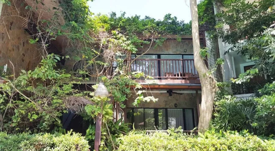 Отель Birds & Bees Resort в Паттайе: Отель, Ресторан, Бар, Бассейн, Hotel, Bar, Swimming Pool , Restaurant ,