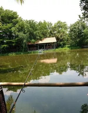 Рыболовный Пруд «Castaway Fishing Park And Restaurant»