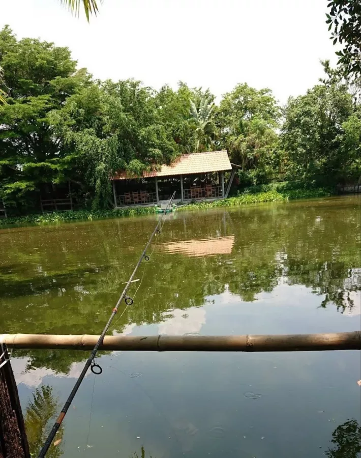Рыболовный Пруд Castaway Fishing Park And Restaurant в Паттайе: Пруд, Ресторан, Гриль , Pond, Grill, Restaurant ,