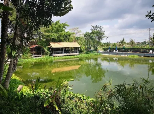 Рыболовный Пруд «Castaway Fishing Park And Restaurant»