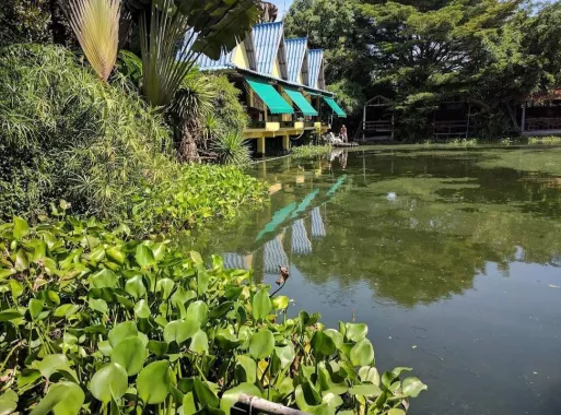 Рыболовный Пруд «Castaway Fishing Park And Restaurant»