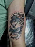 Миниатюра 6