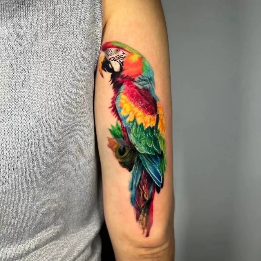 Тату-Студия Robin в Паттайе: Татуировки , Студия, Тату-Мастер, Studio, Tattoos, Tattoo Artist,