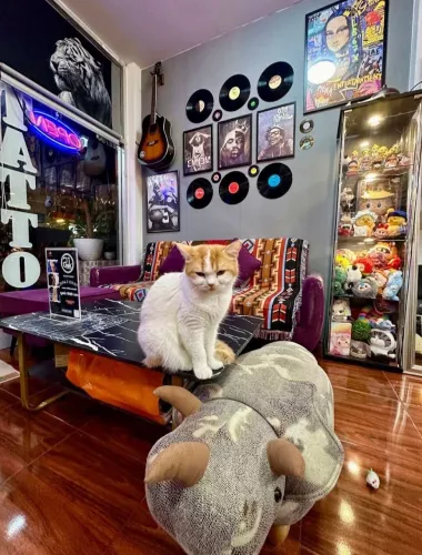 Тату-Студия 21 INK TATTOO в Паттайе
