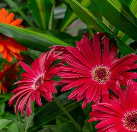 Фото 3