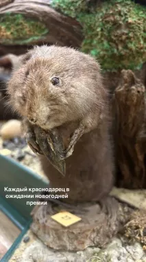Краснодарский государственный историко-археологический музей-заповедник им. Е.Д. Фелицына