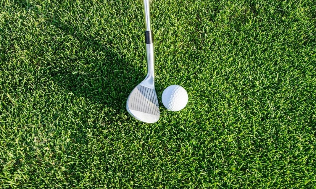 Большое фото 6