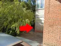 Миниатюра 13