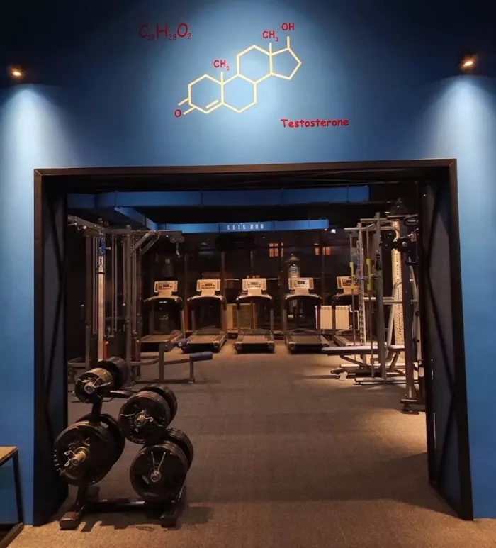 Фитнес REBORN JUMP