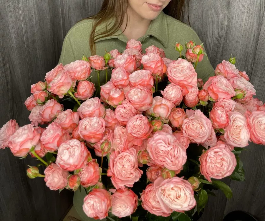 IT-компания Posiflora в Ростове-на-Дону: IT, ПО, Маркетинг, Продвижение сайтов,