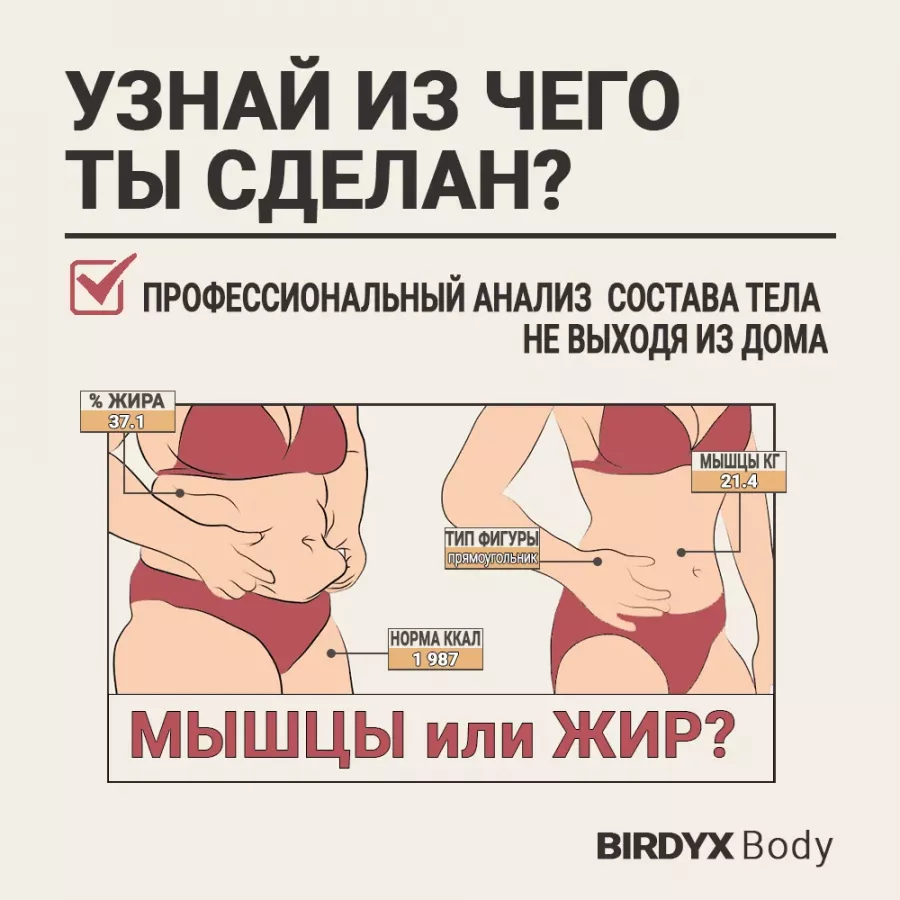 IT-компания Birdyx в Ростове-на-Дону: IT, Статистическая компания, ПО, IT-консалтинг,