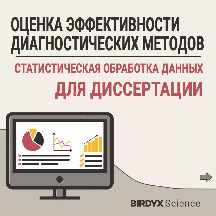 IT-компания Birdyx в Ростове-на-Дону: IT, Статистическая компания, ПО, IT-консалтинг,