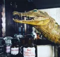 Миниатюра 6