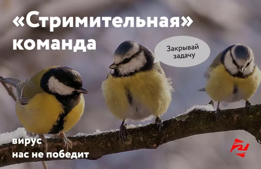 Веб-студия Акцепт в Санкт-Петербурге: SEO, Продвижение бизнеса, Разработка сайтов, Сайт под ключ, Дизайн сайта, Анализ и брифинг,