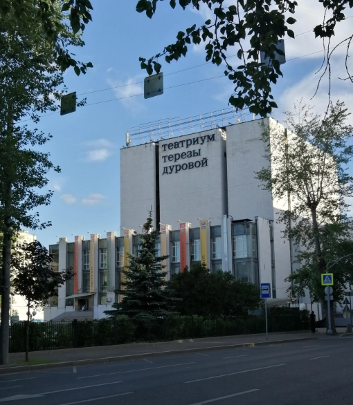 Театр Терезы Дуровой в Москве: Шоу, Премьера, Актеры, Для всей семьи, Для детей и взрослых, Театральное искусство, Культура, Спектакль,