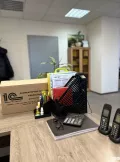 Миниатюра 10