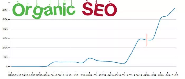 Seo-аудит Organic Seo в Красноярске: Реклама, IT сервисы, 