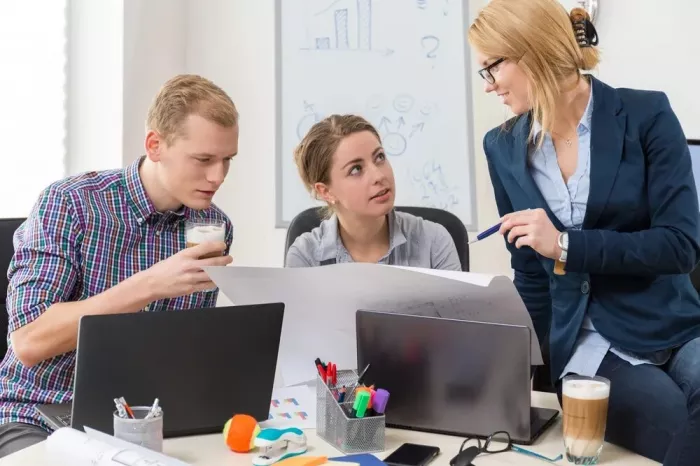 Seo-аудит Organic Seo в Красноярске: Реклама, IT сервисы, 
